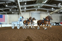AJB_5635