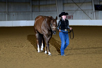 33. Performance Geldings