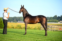 AJB_0516
