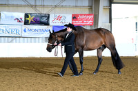 AJB_1616