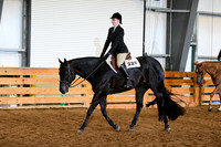 AJB_3019