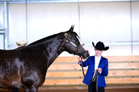 AJB_0033