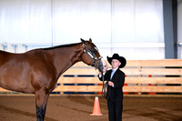 AJB_0026