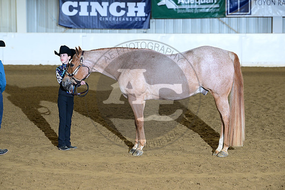 AJB_2014