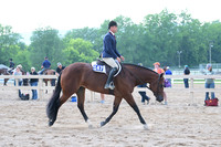AJB_6613