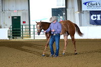 36. Amatuer Yearling Geldings