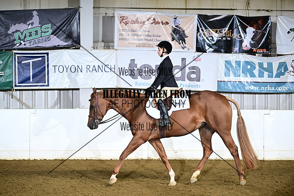 ASH_9528