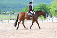 AJB_3164