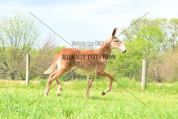 file_285015972864