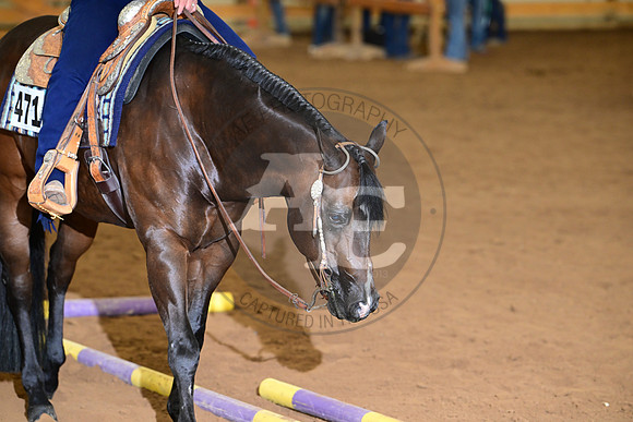 AJB_8019
