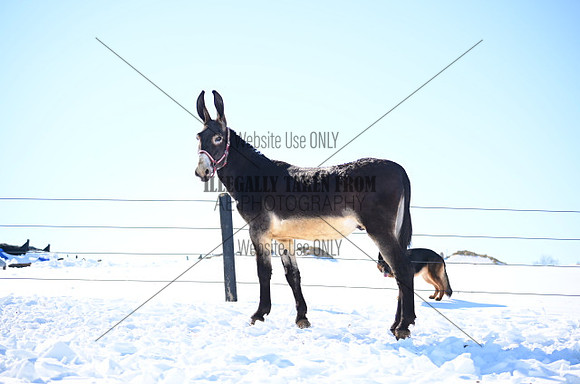 file_177028528128
