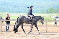 AJB_6439