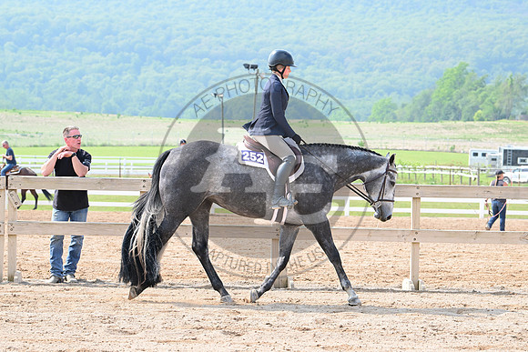 AJB_6439