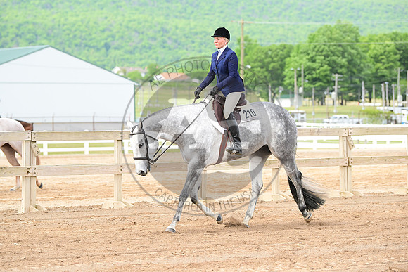 AJB_2467
