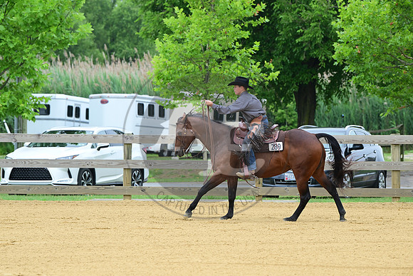 AB1_3959