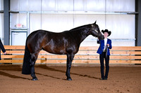 AJB_0023