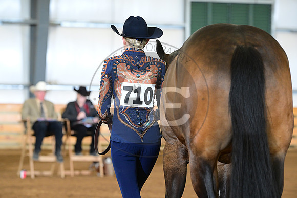 AJB_1524