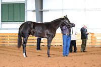 AJB_5363