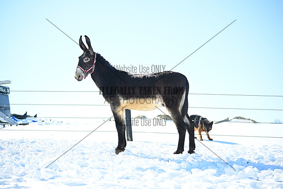 file_177057300480
