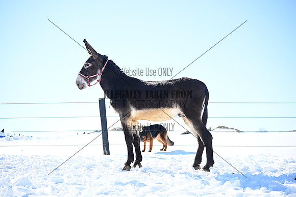 file_176988094464