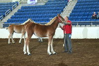 AJB_6348