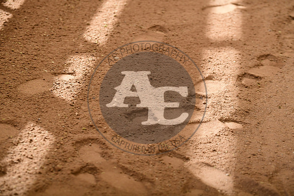 AJE_4154