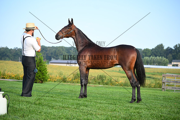 AJB_0604