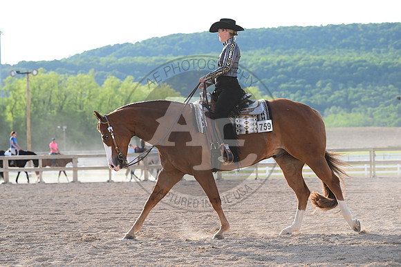 AJB_0275