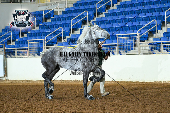 AJB_4911