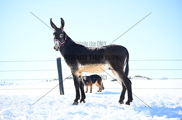 file_177020797952