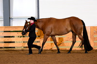 AJB_0277