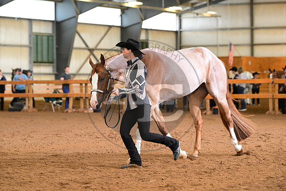 AJB_0918