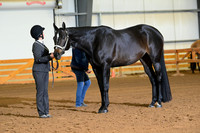 AJB_1557