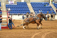 AJB_8403