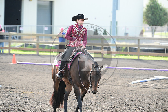 AJB_3289