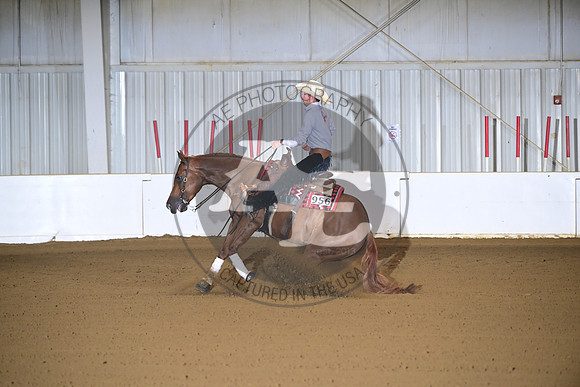 AJB_0113