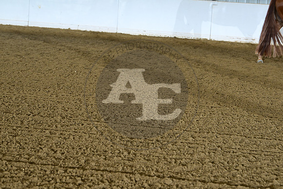 AJB_9453