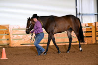 219. Level 1 Amatuer Aged Geldings
