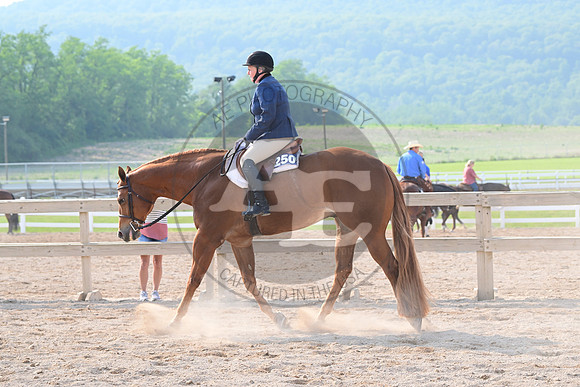 AJB_6789