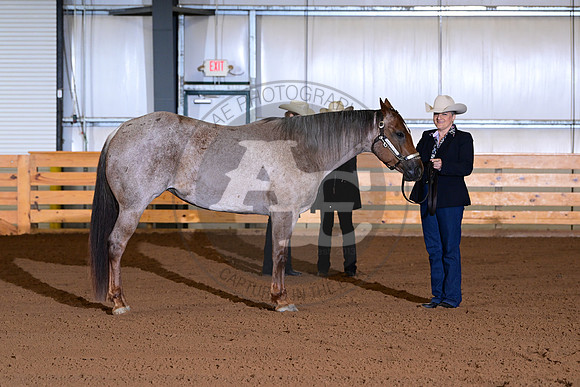 AJB_0043