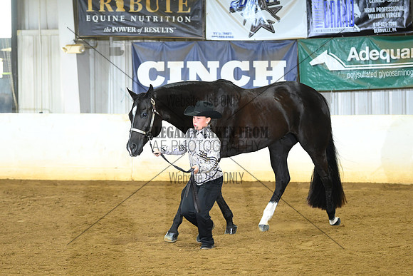AJB_1631