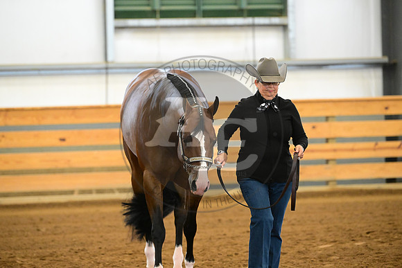 AJB_2013