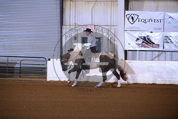 AJB_6394
