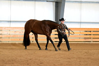 AJB_5882