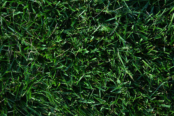 AJB_0650
