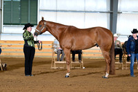 AJB_0992