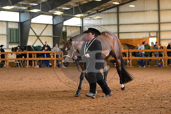 AJB_0843