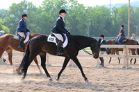 AJB_6732