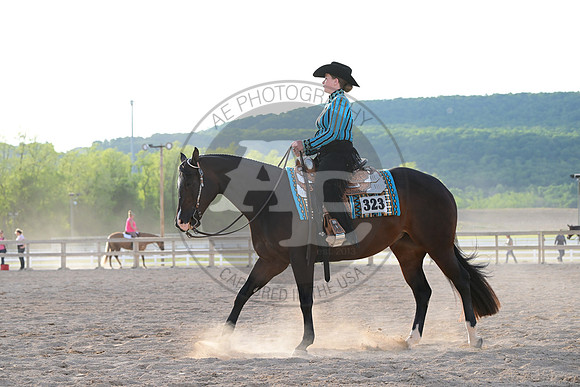 AJB_0499