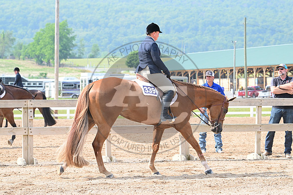 AJB_6385